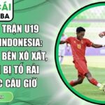 Tranh cãi trận U19 Việt Nam - Indonesia